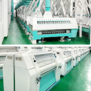 10 tpd wheat flour mill