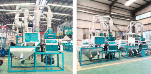 5 tpd maize mill plant