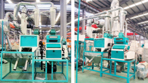 5 tpd wheat flour mill plant