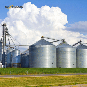 10 tpd wheat flour mill